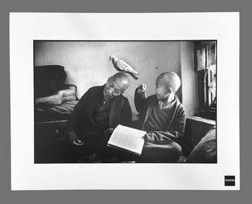 Martine Franck - Magnum Photos - 12-year-old Tulku Khentrul