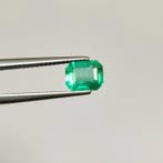 Groen Smaragd - 1.38 ct - International Gemological, Nieuw