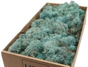 Rendiermos IJslandsmos Finlandsmos Iceblue 500 gram, Ophalen of Verzenden, Nieuw