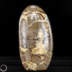 Natuurlijke Septarien-vrijvorm – een geologisch kunstwerk