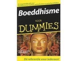 Boek Boeddhisme Voor Dummies 9789043008143, Verzenden, Zo goed als nieuw