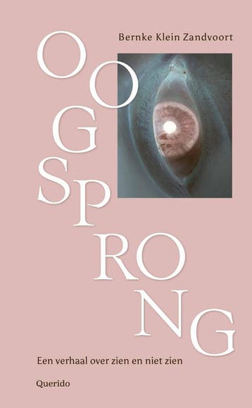 Oogsprong - Bernke Klein Zandvoort 9789025320935, Boeken, Verzenden, Zo goed als nieuw, Bernke Klein Zandvoort