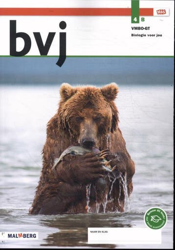 bvj / 4B vmbo-gt - Bos 9789402077896, Verzenden, Gelezen, Bos