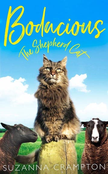 Bodacious - Suzanna Crampton 9780008275853, Verzenden, Gelezen, Suzanna Crampton