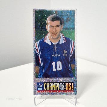 1998 Panini Champions 98 LAlbum De La Victoire Zinedine, Nieuw