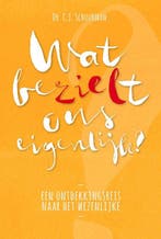 9789076681382 Wat bezielt ons eigenlijk? | Tweedehands, Boeken, Verzenden, Gelezen, C.J. Schuurman