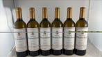 2022 Gonçalves Faria branco - Bairrada - 6 Fles (0,75 liter), Verzamelen, Nieuw