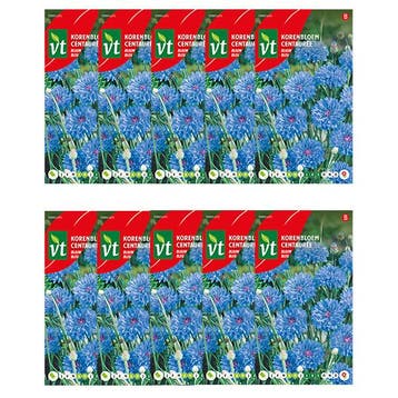 Korenbloemzaad | VT (Blauw) | 10 stuks, Tuin en Terras, Verzenden