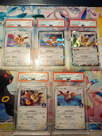 Pokémon - 5 Graded card - Eevee Promo card, Foil - PSA 10 -, Nieuw