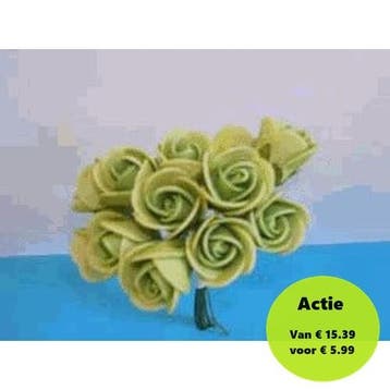 Mini Foam Roos Olijf 2 cm Doos 144 stuks, Ophalen of Verzenden, Nieuw