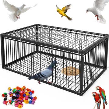 Vogelkooi voor postduiven | Tweedekansje | OP=OP, Ophalen of Verzenden, Zo goed als nieuw, Metaal, Vogelkooi