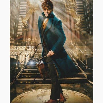 Fantastic Beasts - Signed by Eddie Redmayne (Newt Scamander), Nieuw