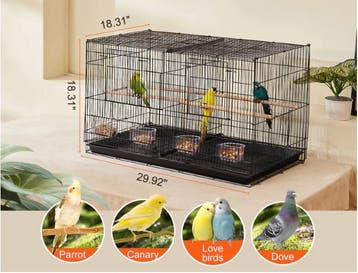 Stapelbare Vogelkooi met Verdeelwand en Zitstokken, Verzenden, Nieuw