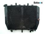 Radiateur Kawasaki ZX 12 R Ninja 2002-2006 (NINJA ZX-12R, Motoren, Verzenden, Gebruikt