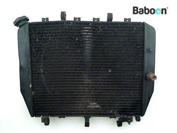 Radiateur Kawasaki ZX 12 R Ninja 2002-2006 (NINJA ZX-12R, Verzenden, Gebruikt