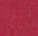 Forbo Marmoleum Fresco 3273 ruby, Verzenden, Nieuw