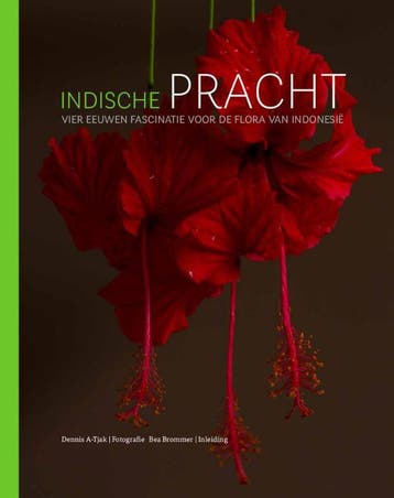 Indische pracht - Dennis A-Tjak 9789460224935, Verzenden, Zo goed als nieuw, Dennis A-Tjak