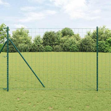 vidaXL Euro Hek 1,6 x 10m PVC-gecoat ijzer Groen, Tuin en Terras, Verzenden, Nieuw, IJzer