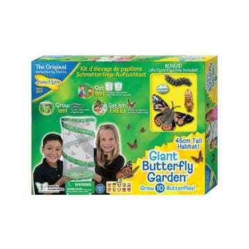 Reuze Vlinder kweekset