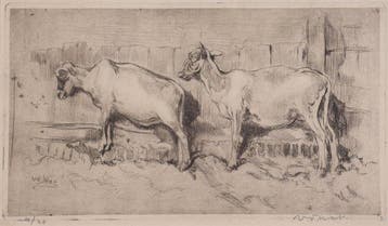 Willem Hendrik van der Nat (1864–1929) - Geiten, Antiek en Kunst