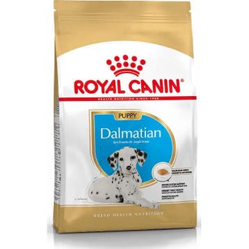 Royal Canin Dalmatian Junior 25 12 kg (Hondenvoer), Verzenden, Hond