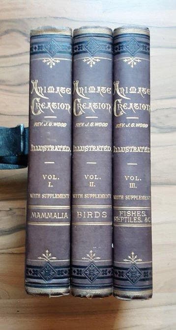 Rev. J. G. Wood - Animate Creation; Popular Edition of Our