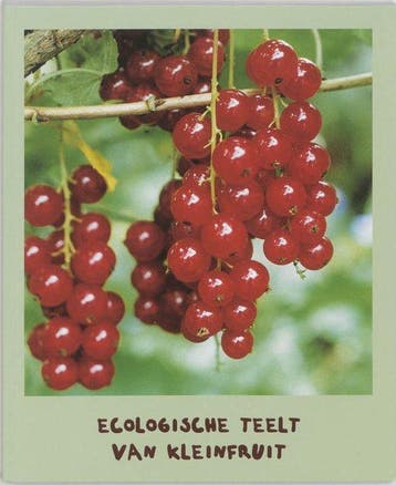 De ecologische teelt van kleinfruit - Buysse, Boeken, Verzenden, Gelezen