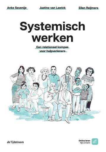 Systemisch werken 9789058983169, Zo goed als nieuw