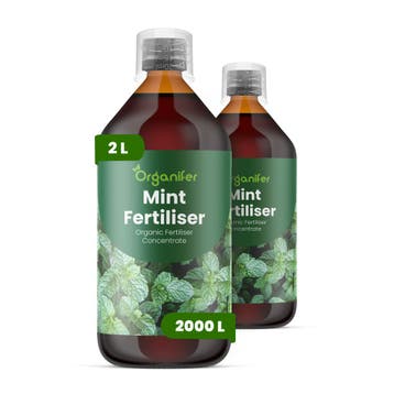 Munt Vloeibare Meststof - Set 2x1 liter, Verzenden, Mest