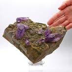 Grote, paarse amethist met epidot, XX 5 cm, Mexico