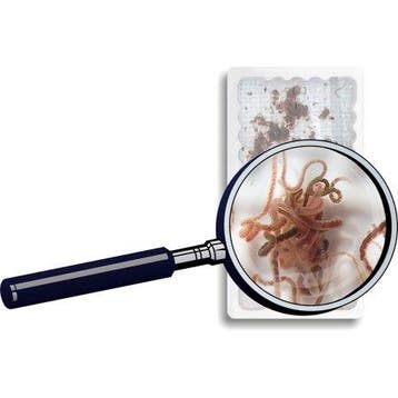 Petra Aqua Levende Tubifex (zakje 90 ml.), Dieren en Toebehoren, Ophalen of Verzenden, Nieuw