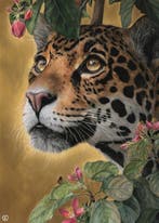 Kleury.art - Gaze of the Gilded Jungle” by Kleury.art (1/5), Nieuw