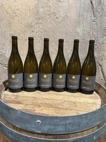 2021 Wassererhof Ryed, Chardonnay - Trentino Alto Adige, Nieuw
