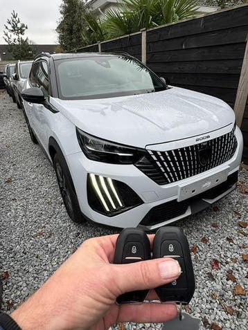 Peugeot autosleutel bijmaken - Doetinchem e.o., Ophalen