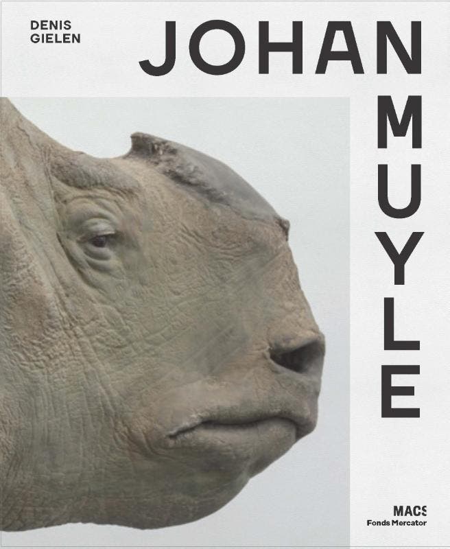Johan Muyle - Denis Gielen 9789462302693, Boeken, Taal | Engels, Zo goed als nieuw, Verzenden