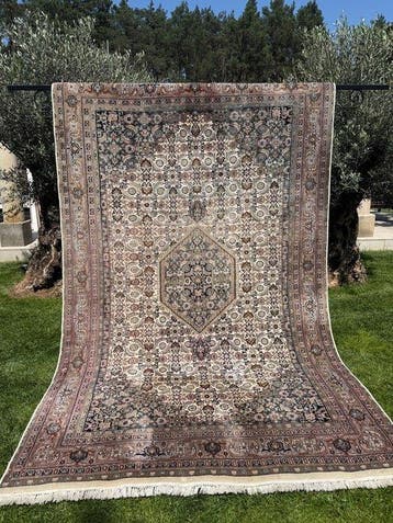 Indo Bidjar - Tapijt - 315 cm - 195 cm, Nieuw