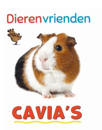 9789464393347 Dierenvrienden - Cavia Izzi Howell, Boeken, Verzenden, Nieuw, Izzi Howell