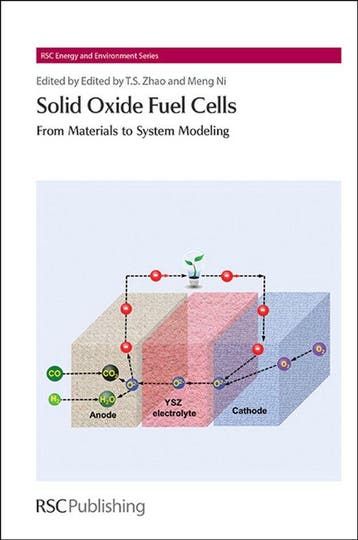 9781849736541 Solid Oxide Fuel Cells Meng Ni, Verzenden, Nieuw, Meng Ni