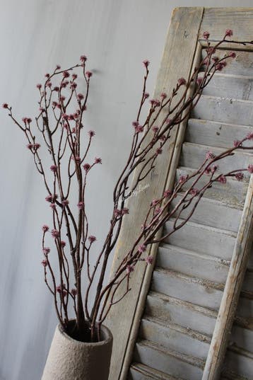 Sylxz Willow tak Mauve 100 cm, Ophalen of Verzenden, Nieuw