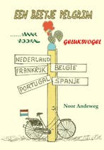Een beetje Pelgrim 9789071343896 N. Andeweg, Verzenden, Gelezen, N. Andeweg