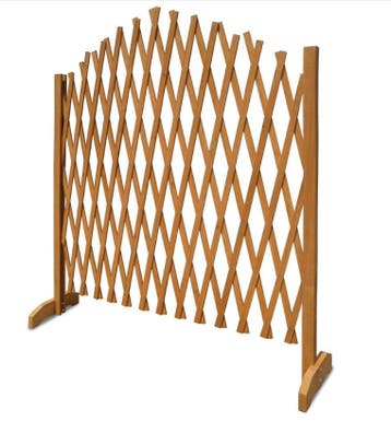 Klimplantenrek Set van 2 Bruin 200x107cm (Plantenbakken), Tuin en Terras, Verzenden, Nieuw