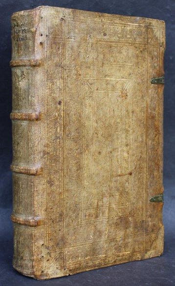 Georg Lauterbeck - Regentenbuch. Fürstenspiegels. Auffs