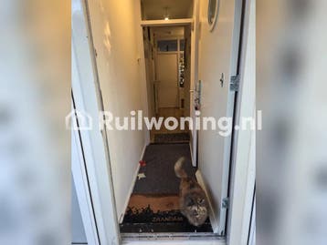 Zaandam, netjes onderhouden appartement met 4 kamers, 70 m², Huizen en Kamers, Woningruil, Amsterdam