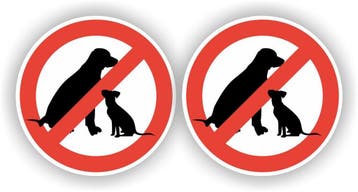 Honden niet toegestaan raamstickers spiegelbeeld (sp.119.80), Verzenden, Nieuw, Overige typen
