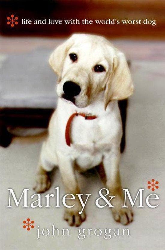 Marley & Me 9780060817084 John Grogan, Boeken, Taal | Engels, Gelezen, Verzenden