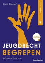 Jeugdrecht begrepen 9789462902251, Boeken, Zo goed als nieuw