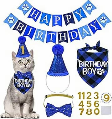 23-delige katten verjaardag set voor 16,95, Verzenden, Nieuw