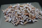 100 gram fossiele haaientandjes --NO RESERVEPRiCE-- -