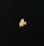 Goud Goud nugget - Hoogte: 11.01 mm - Breedte: 8.17 mm- 1.29