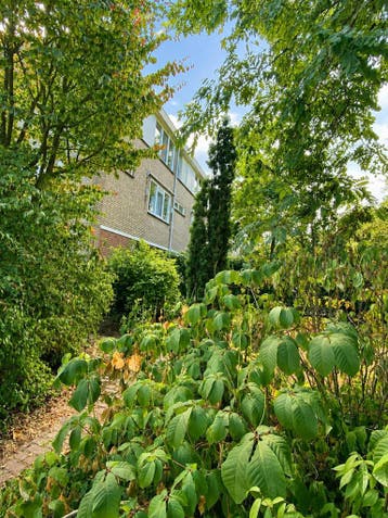 Te huur: Appartement Primulalaan in Waalre, Noord-Brabant, Appartement, Waalre